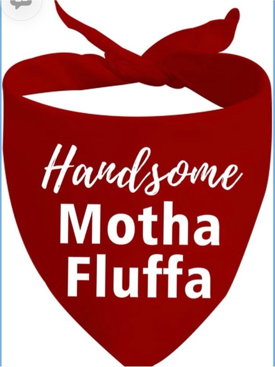Other - Red 'Handsome Motha Fluffa' Graphic Bandana